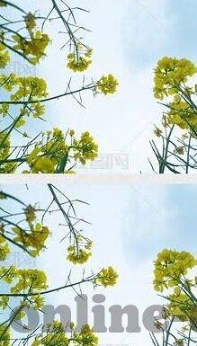 麻豆日记APP下载免费-麻豆日记APP，记录生活点滴的免费选择
