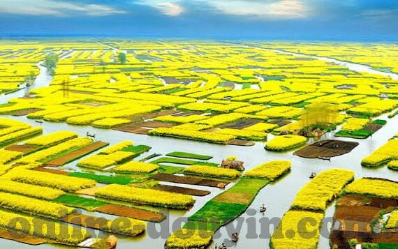 麻豆视频沈娜娜-探秘演艺界的真实与梦幻 —— 麻豆视频沈娜娜的演艺之路